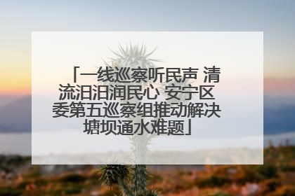 一线巡察听民声 清流汨汨润民心 安宁区委第五巡察组推动解决塘坝通水难题