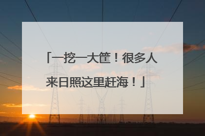 一挖一大筐！很多人来日照这里赶海！