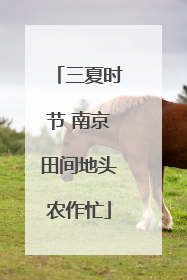 三夏时节 南京田间地头农作忙