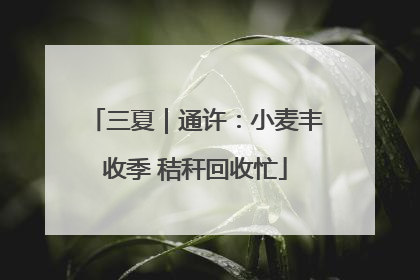 三夏｜通许：小麦丰收季 秸秆回收忙