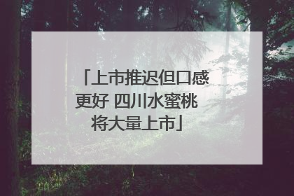 上市推迟但口感更好 四川水蜜桃将大量上市