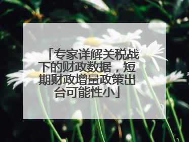 专家详解关税战下的财政数据，短期财政增量政策出台可能性小