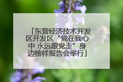 东营经济技术开发区开发区“党在我心中 永远跟党走”身边榜样报告会举行