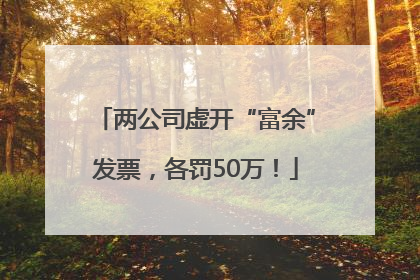 两公司虚开“富余”发票，各罚50万！