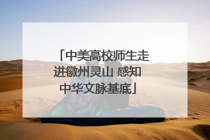 中美高校师生走进徽州灵山 感知中华文脉基底