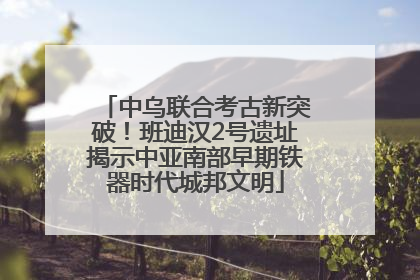 中乌联合考古新突破！班迪汉2号遗址揭示中亚南部早期铁器时代城邦文明