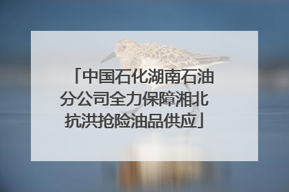 中国石化湖南石油分公司全力保障湘北抗洪抢险油品供应