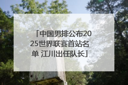 中国男排公布2025世界联赛首站名单 江川出任队长