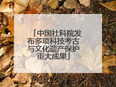中国社科院发布多项科技考古与文化遗产保护重大成果