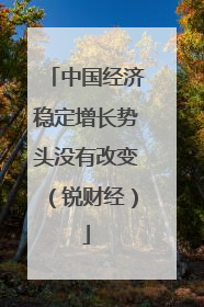 中国经济稳定增长势头没有改变（锐财经）