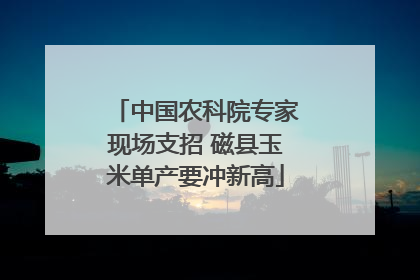 中国农科院专家现场支招 磁县玉米单产要冲新高