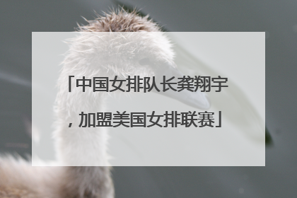 中国女排队长龚翔宇，加盟美国女排联赛