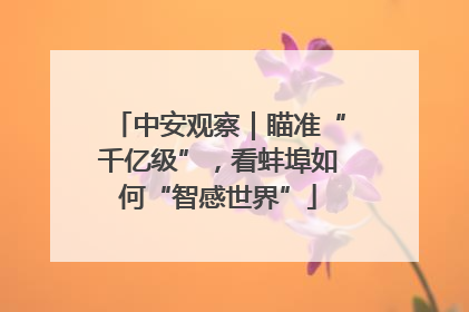 中安观察｜瞄准“千亿级”，看蚌埠如何“智感世界”