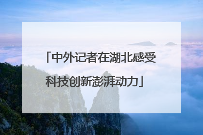 中外记者在湖北感受科技创新澎湃动力