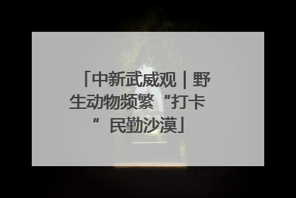 中新武威观｜野生动物频繁“打卡”民勤沙漠