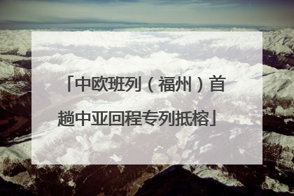 中欧班列（福州）首趟中亚回程专列抵榕