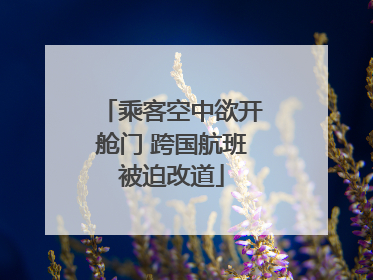乘客空中欲开舱门 跨国航班被迫改道