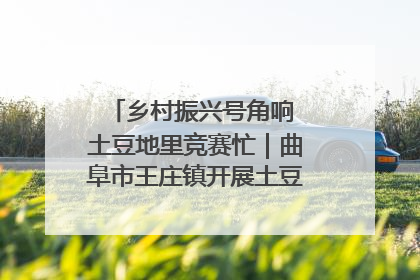 乡村振兴号角响 土豆地里竞赛忙｜曲阜市王庄镇开展土豆收获劳动竞赛