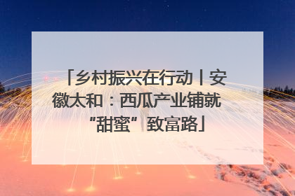 乡村振兴在行动丨安徽太和：西瓜产业铺就“甜蜜”致富路