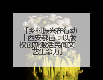 乡村振兴在行动丨西安鄠邑：以版权创新激活民间文艺生命力