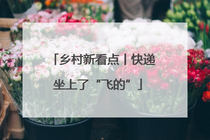 乡村新看点丨快递坐上了“飞的”