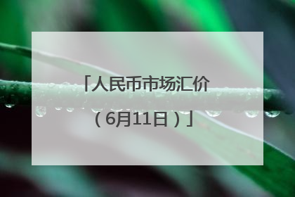 人民币市场汇价（6月11日）