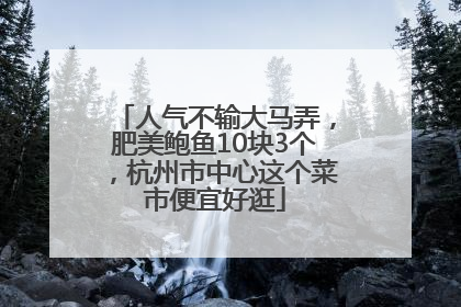 人气不输大马弄，肥美鲍鱼10块3个，杭州市中心这个菜市便宜好逛