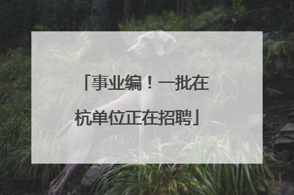 事业编！一批在杭单位正在招聘