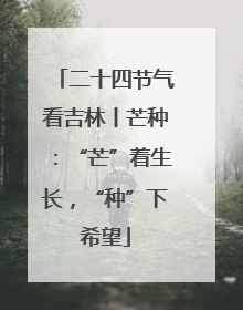 二十四节气看吉林丨芒种：“芒”着生长，“种”下希望