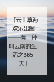 云上草海 欢乐出圈——有一种叫云南的生活之365天