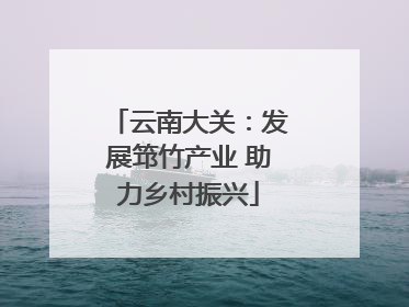 云南大关：发展筇竹产业 助力乡村振兴
