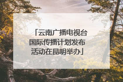 云南广播电视台国际传播计划发布活动在昆明举办