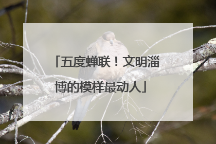 五度蝉联！文明淄博的模样最动人