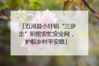 五河县小圩镇“三步走”织密农忙安全网，护航乡村平安路