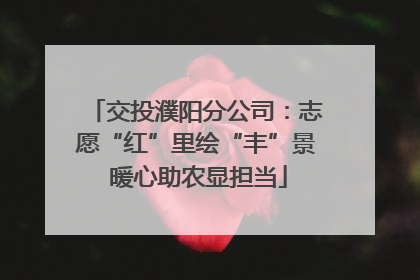 交投濮阳分公司：志愿“红”里绘“丰”景 暖心助农显担当