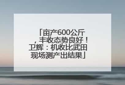 亩产600公斤，丰收态势良好！卫辉：机收比武田现场测产出结果