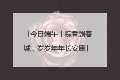 今日端午丨粽香飘春城，岁岁年年长安康
