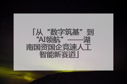 从“数字筑基”到“AI领航”——湖南国资国企竞速人工智能新赛道