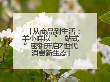 从商品到生活：羊小咩以“一站式”密钥开启Z世代消费新生态