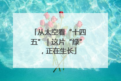 从太空看“十四五”｜这片“绿”，正在生长