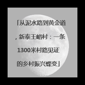 从泥水路到黄金道，新泰王峪村：一条1300米村路见证的乡村振兴蝶变