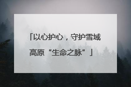 以心护心，守护雪域高原“生命之脉”