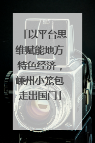 以平台思维赋能地方特色经济，嵊州小笼包走出国门
