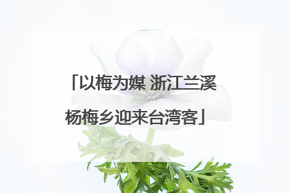 以梅为媒 浙江兰溪杨梅乡迎来台湾客