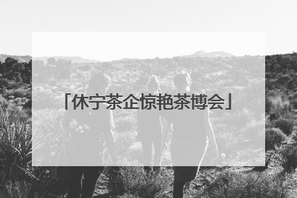 休宁茶企惊艳茶博会