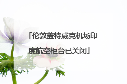 伦敦盖特威克机场印度航空柜台已关闭