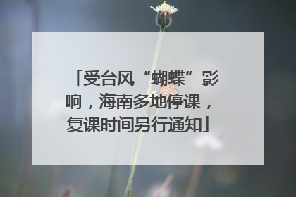 受台风“蝴蝶”影响，海南多地停课，复课时间另行通知
