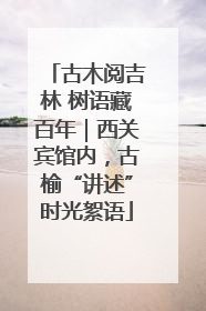 古木阅吉林 树语藏百年｜西关宾馆内，古榆“讲述”时光絮语