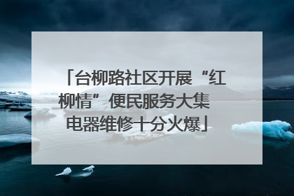 台柳路社区开展“红柳情”便民服务大集 电器维修十分火爆