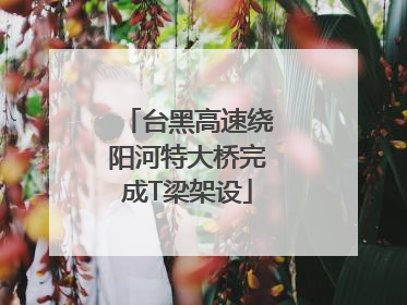 台黑高速绕阳河特大桥完成T梁架设